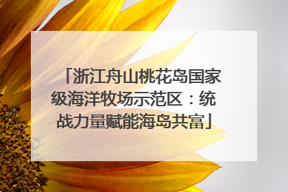 浙江舟山桃花岛国家级海洋牧场示范区：统战力量赋能海岛共富