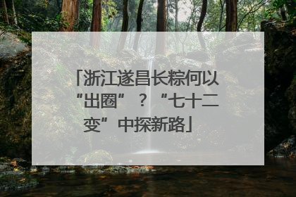 浙江遂昌长粽何以“出圈”？“七十二变”中探新路