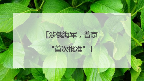 涉俄海军，普京“首次批准”