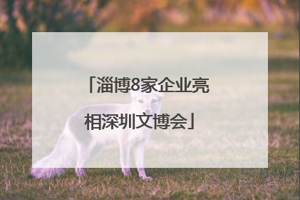 淄博8家企业亮相深圳文博会