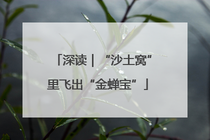 深读｜“沙土窝”里飞出“金蝉宝”