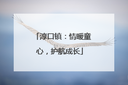 淳口镇：情暖童心，护航成长