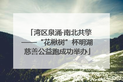 湾区泉涌·南北共擎——“花楸树”杯明湖慈善公益跑成功举办