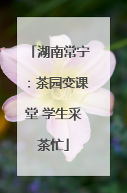 湖南常宁：茶园变课堂 学生采茶忙
