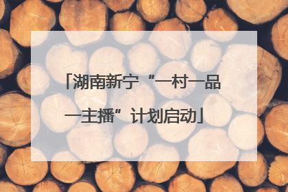 湖南新宁“一村一品一主播”计划启动