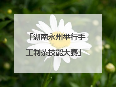 湖南永州举行手工制茶技能大赛