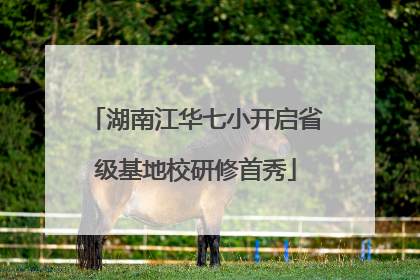 湖南江华七小开启省级基地校研修首秀