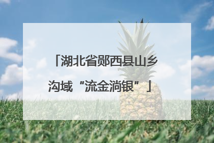 湖北省郧西县山乡沟域“流金淌银”