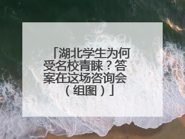 湖北学生为何受名校青睐？答案在这场咨询会（组图）