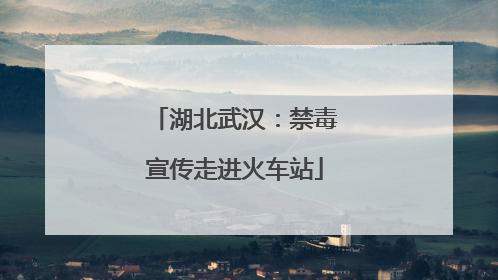 湖北武汉：禁毒宣传走进火车站