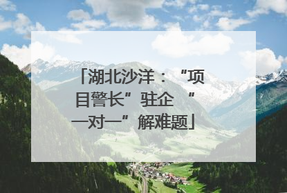 湖北沙洋：“项目警长”驻企 “一对一”解难题