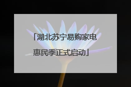 湖北苏宁易购家电惠民季正式启动