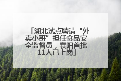 湖北试点聘请“外卖小哥”担任食品安全监督员，襄阳首批11人已上岗