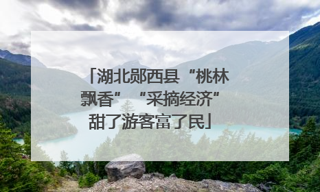 湖北郧西县“桃林飘香”“采摘经济”甜了游客富了民