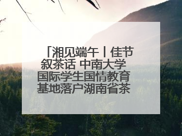 湘见端午丨佳节叙茶话 中南大学国际学生国情教育基地落户湖南省茶叶博物馆
