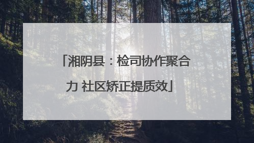 湘阴县：检司协作聚合力 社区矫正提质效