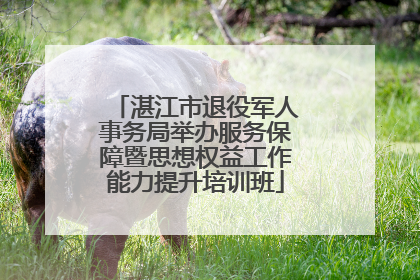 湛江市退役军人事务局举办服务保障暨思想权益工作能力提升培训班