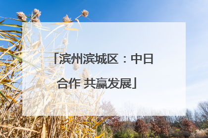 滨州滨城区：中日合作 共赢发展