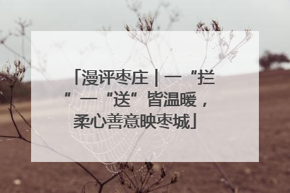 漫评枣庄｜一“拦”一“送”皆温暖，柔心善意映枣城