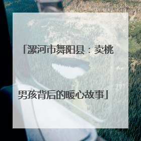 漯河市舞阳县：卖桃男孩背后的暖心故事