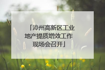 漳州高新区工业地产提质增效工作现场会召开