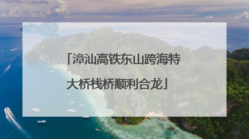 漳汕高铁东山跨海特大桥栈桥顺利合龙