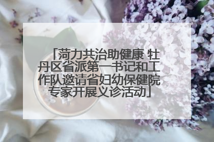 菏力共治助健康 牡丹区省派第一书记和工作队邀请省妇幼保健院专家开展义诊活动