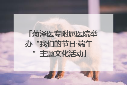 菏泽医专附属医院举办“我们的节日·端午”主题文化活动