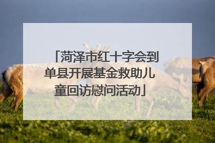 菏泽市红十字会到单县开展基金救助儿童回访慰问活动