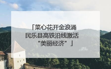 菜心花开金浪涌 民乐县高铁沿线激活“美丽经济”