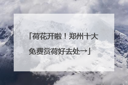 荷花开啦！郑州十大免费赏荷好去处→