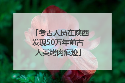 考古人员在陕西发现50万年前古人类烤肉痕迹