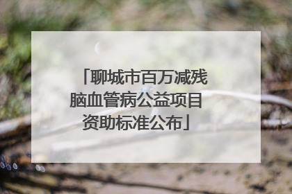 聊城市百万减残脑血管病公益项目资助标准公布