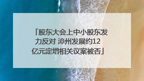 股东大会上中小股东发力反对 漳州发展约12亿元定增相关议案被否
