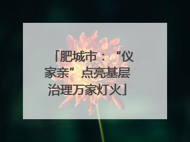 肥城市：“仪家亲”点亮基层治理万家灯火