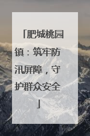 肥城桃园镇：筑牢防汛屏障，守护群众安全