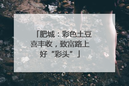 肥城：彩色土豆喜丰收，致富路上好“彩头”