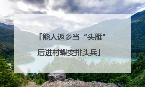 能人返乡当“头雁” 后进村蝶变排头兵