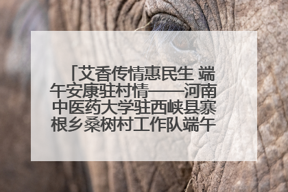 艾香传情惠民生 端午安康驻村情——河南中医药大学驻西峡县寨根乡桑树村工作队端午中医惠民记