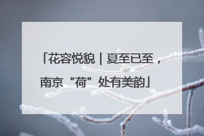 花容悦貌｜夏至已至，南京“荷”处有美韵