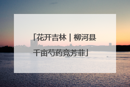 花开吉林｜柳河县千亩芍药竞芳菲
