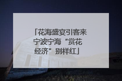 花海盛宴引客来 宁波宁海“赏花经济”别样红