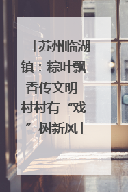 苏州临湖镇：粽叶飘香传文明 村村有“戏”树新风