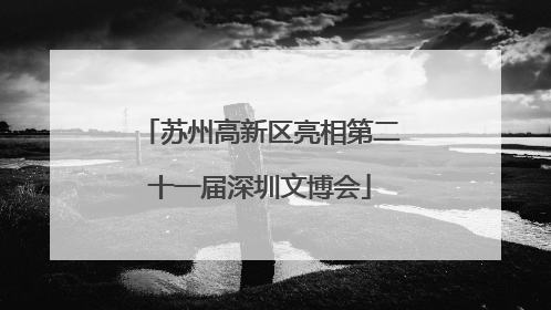 苏州高新区亮相第二十一届深圳文博会