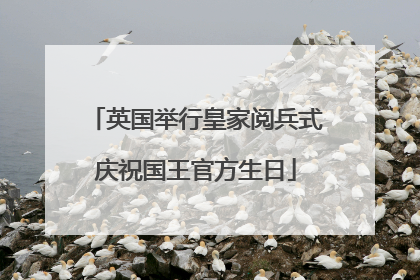 英国举行皇家阅兵式庆祝国王官方生日