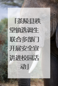 茶陵县秩堂镇选调生联合多部门开展安全宣讲进校园活动