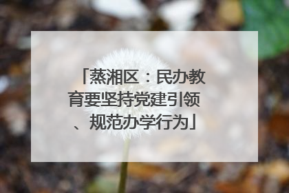 蒸湘区：民办教育要坚持党建引领、规范办学行为