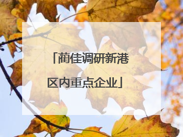 蔺佳调研新港区内重点企业