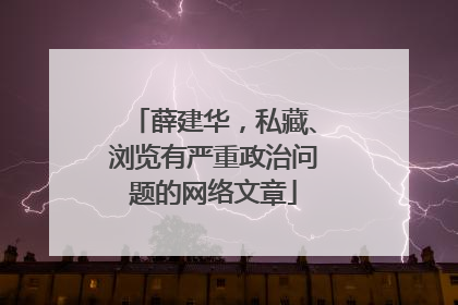 薛建华，私藏、浏览有严重政治问题的网络文章