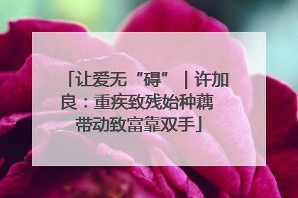 让爱无“碍”｜许加良：重疾致残始种藕 带动致富靠双手
